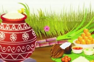 Thai_Pongal Thai_Pongal